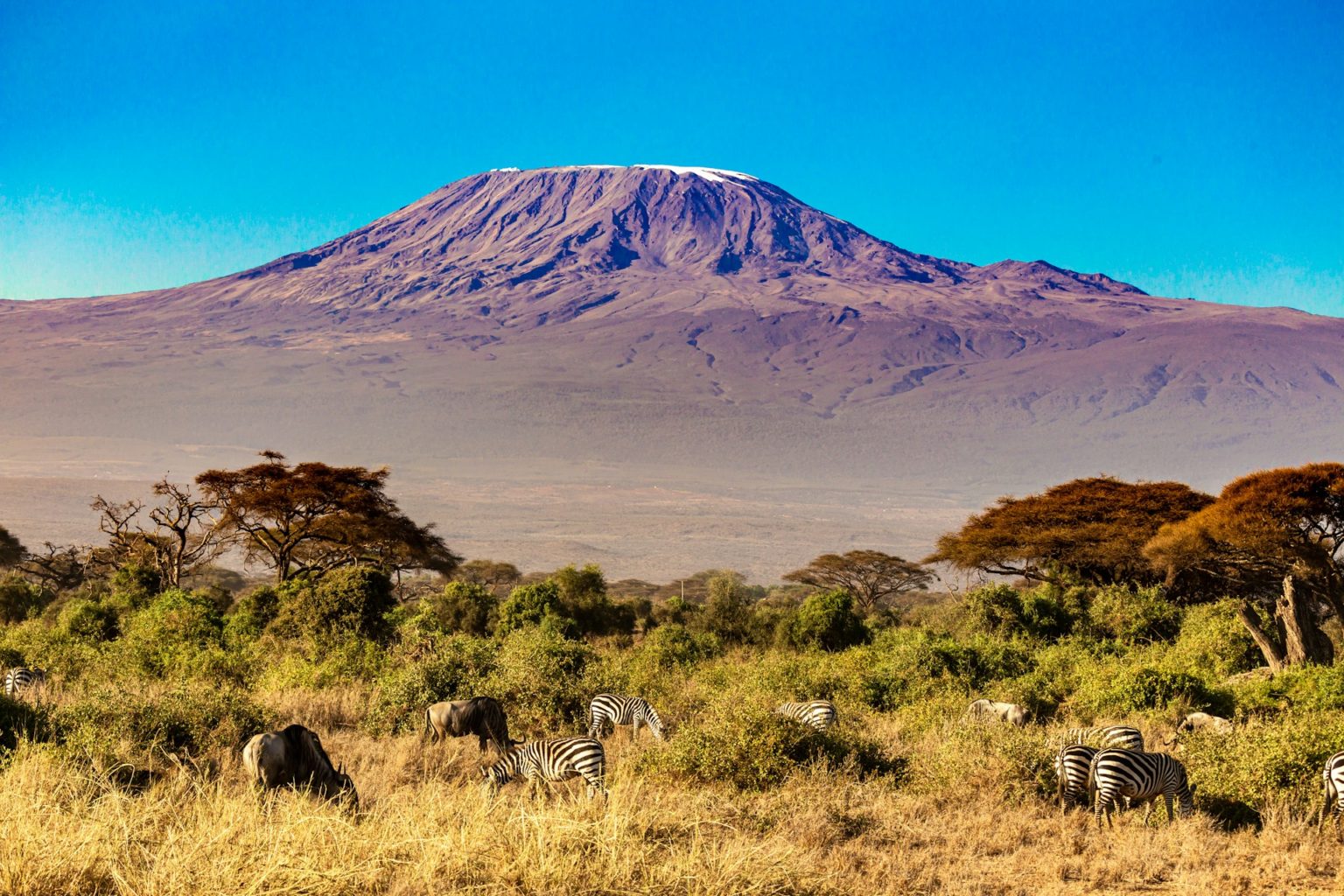 Kenia